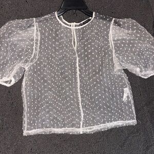 Zara Sheer Polka Dot Blouse